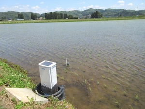スマート農業の実践　自動給水機を試験設置